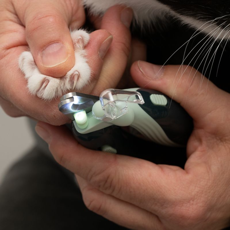 kooa Claw Clippers with LED 13 x 5 x 2 cm (L x W x H)