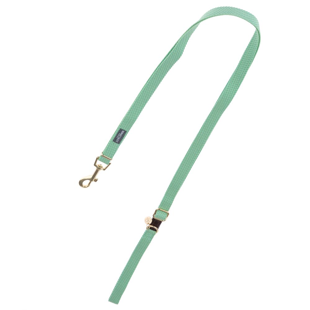Nomad Tales Bloom Leash, mint 200 cm long, 20 mm wide
