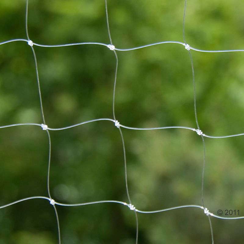 Cat Safety Net - Transparent 2 x 1.5 m