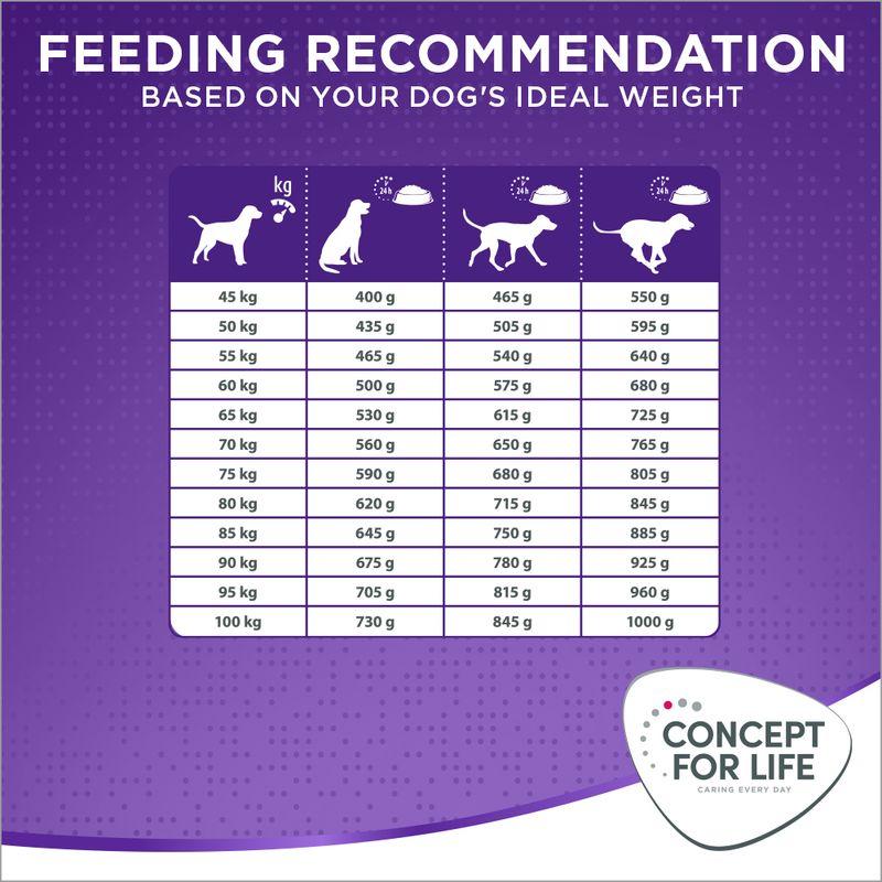 Concept for Life X-Large Adult 12kg