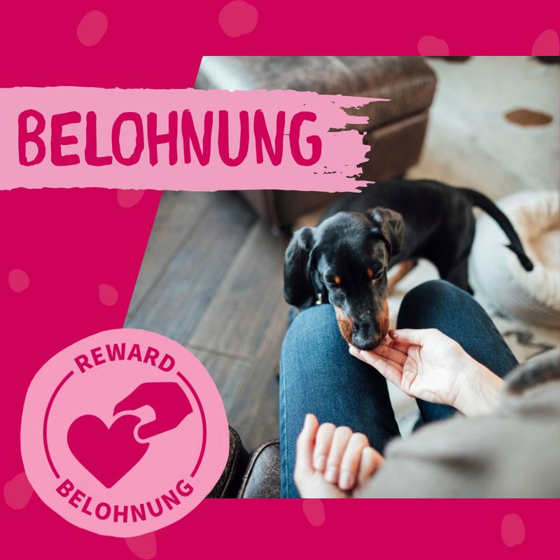 Dokas Minis Duck Breast 70g