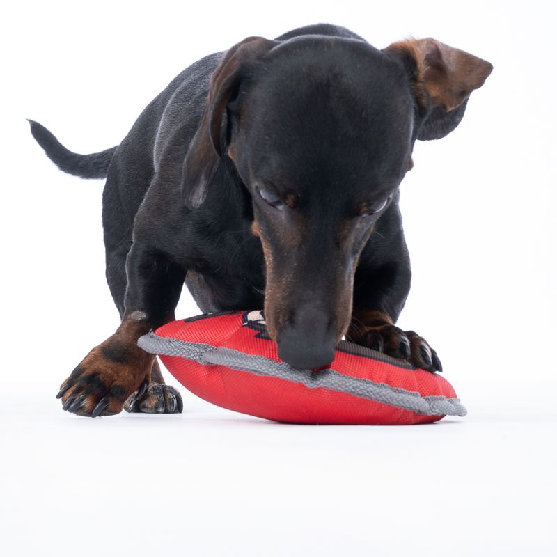 Warner Bros.™ Harry Potter Dog Toy 20 x 18 x 6 cm (L x W x H)