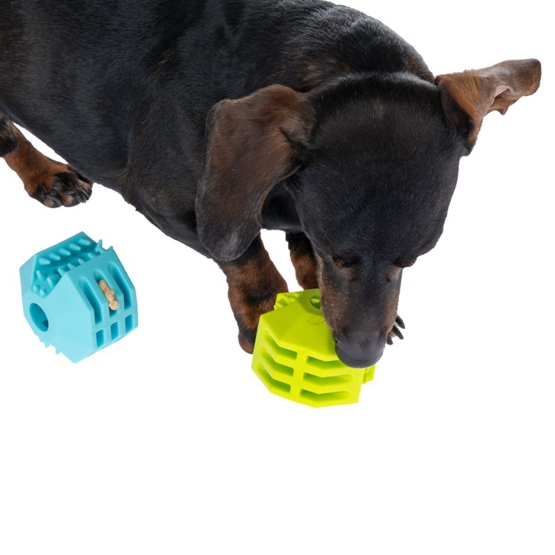 zooplus Basics TPR Snack Ball Set diameter 7cm