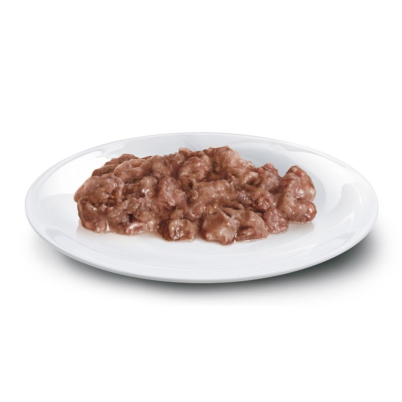 Concept for Life British Shorthair Adult - in Ragout 12 x 85g