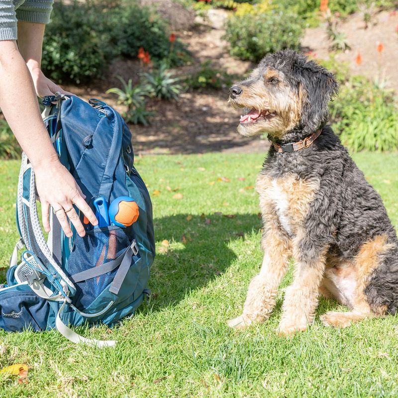 Chuckit! Fetch & Fold Mini Ball Launcher Size L: 48.9cm