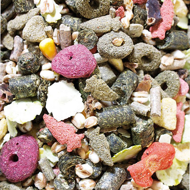 JR Farm Guinea Pig Food Feast 2.5kg