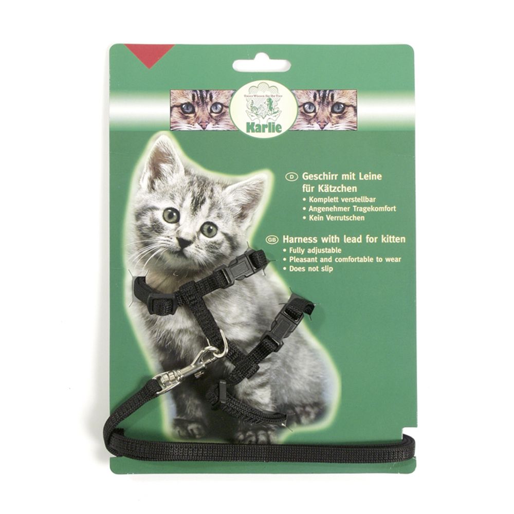 Kitten Harness with Lead Black
