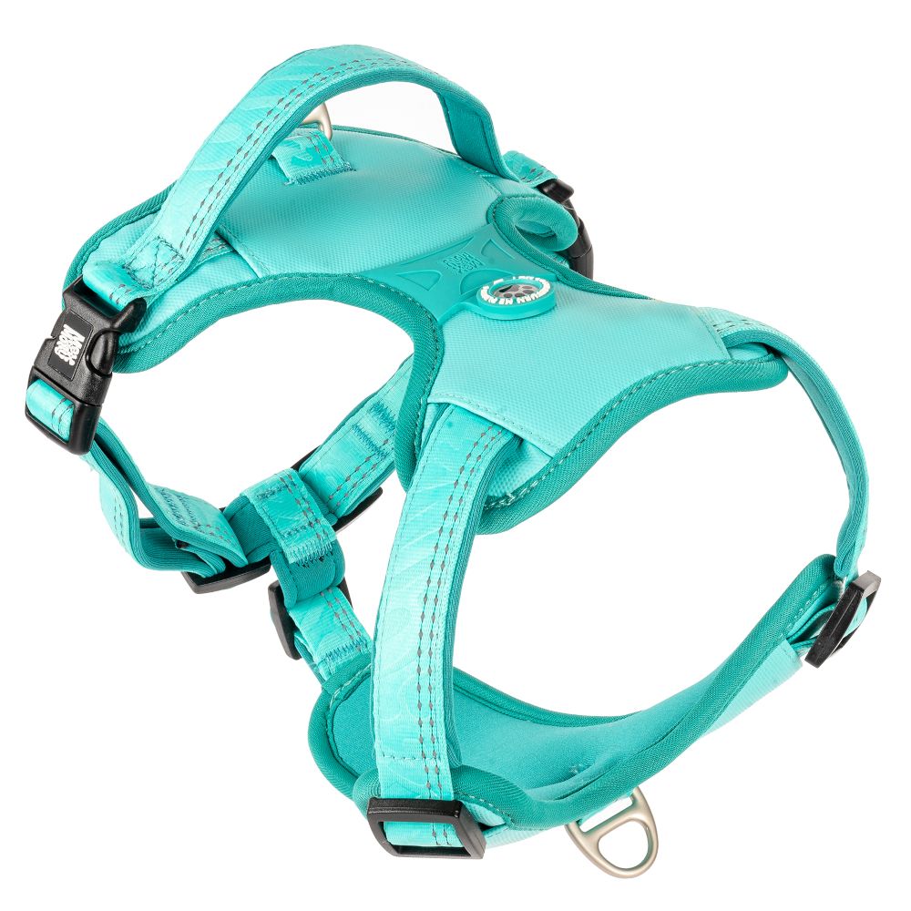 Max & Molly Sports Harness Matrix 2.0 - Turquoise Size S: 44 - 55cm Chest Circumference