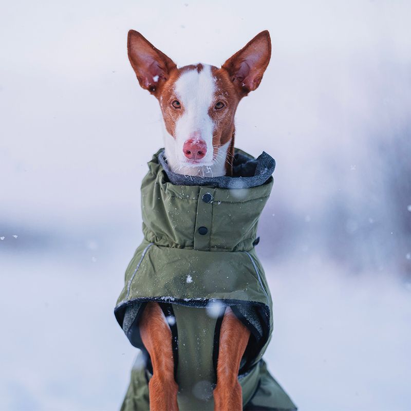 Rukka® Warmup Dog Coat - Olive approx. 80cm back length