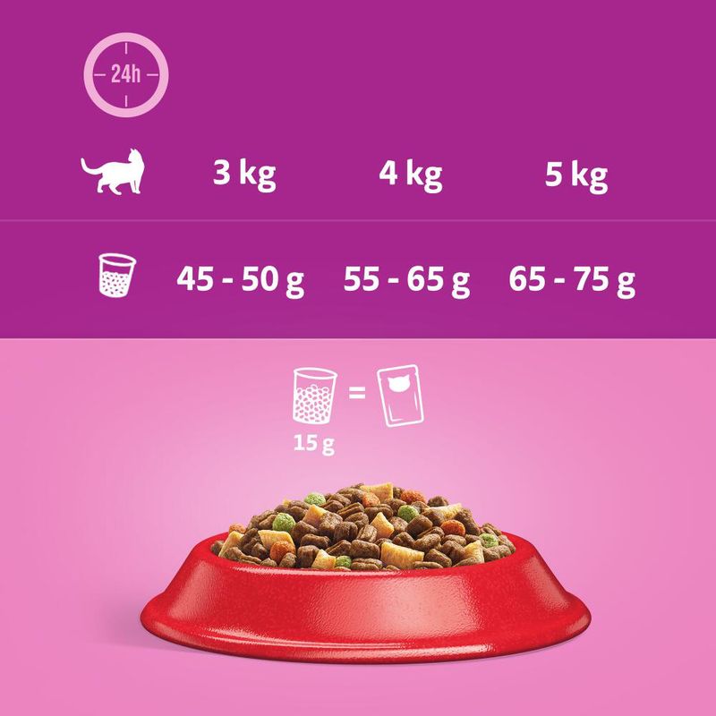 Whiskas 1+ Beef 800g
