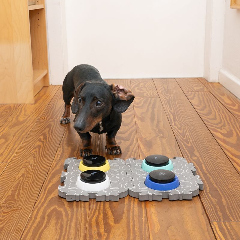 TIAKI Pet Talking Buttons \