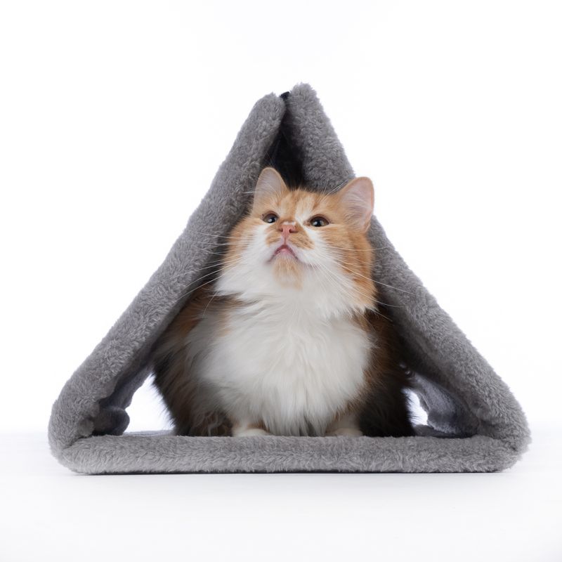 zooplus Basics 2-in-1 Cat Den 43 x 35 x 30 cm (L x W x H)