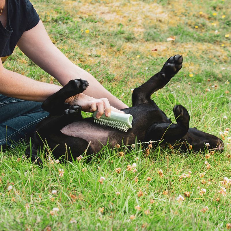 Pet Teezer Puppy Brush L 12 x W 5,5 x H 5 cm