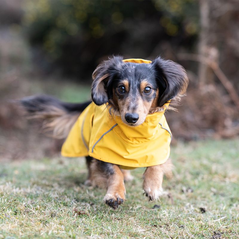 Rukka® Hayton Eco mackintosh, yellow approx. 40 cm back length