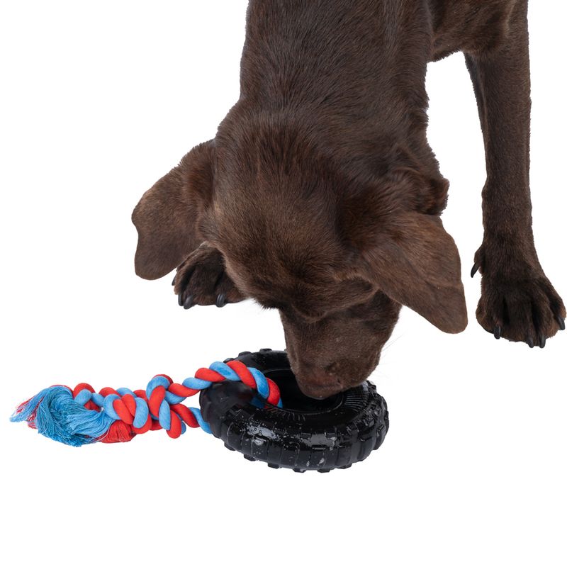 TIAKI Rubber Tyre with Rope 1 Toy