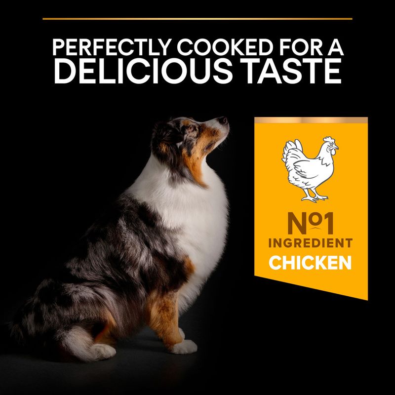 PURINA PRO PLAN Medium & Large Adult 7+ Age Defence 14kg