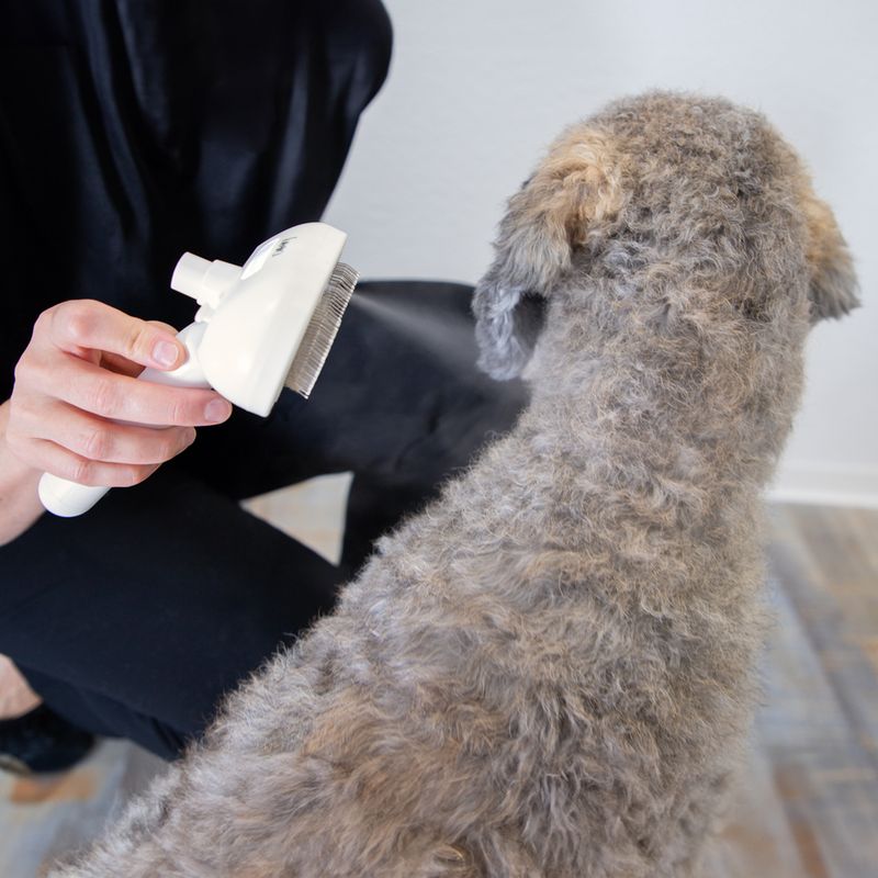 kooa Steam Brush 20 x 12 x 7cm (L x W x H)