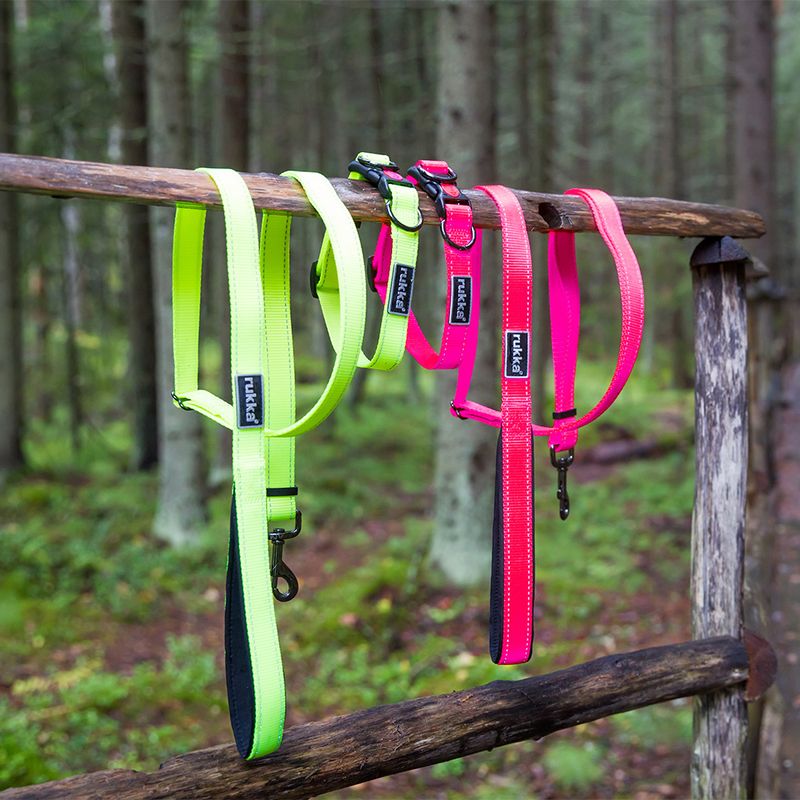 Rukka® Set: Bliss Neon Collar & Leash Collar size M + leash 200 cm / 20 mm
