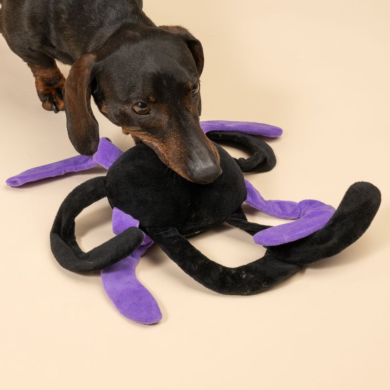 TIAKI Spider Dog Toy approx. 35 x 26 x 7 cm (L x W x H)