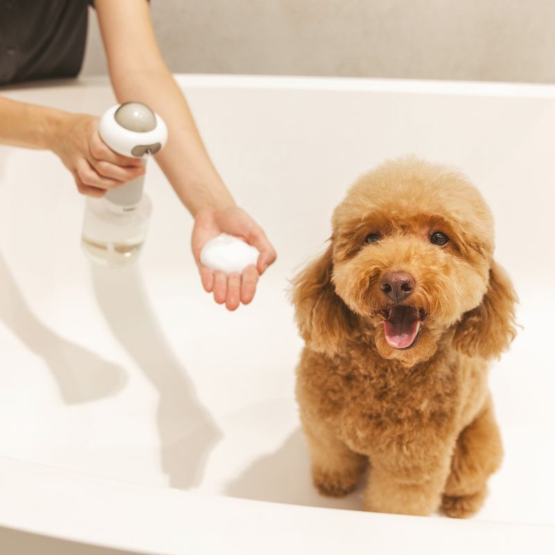 kooa Foam Machine 83 x 22.4cm (diameter x H)