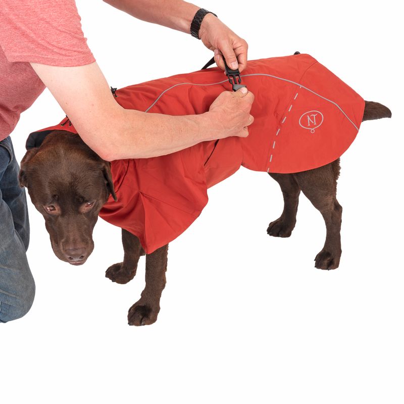 Nomad Tales Spirit Dog Raincoat - Copper approx. 40cm Back Length