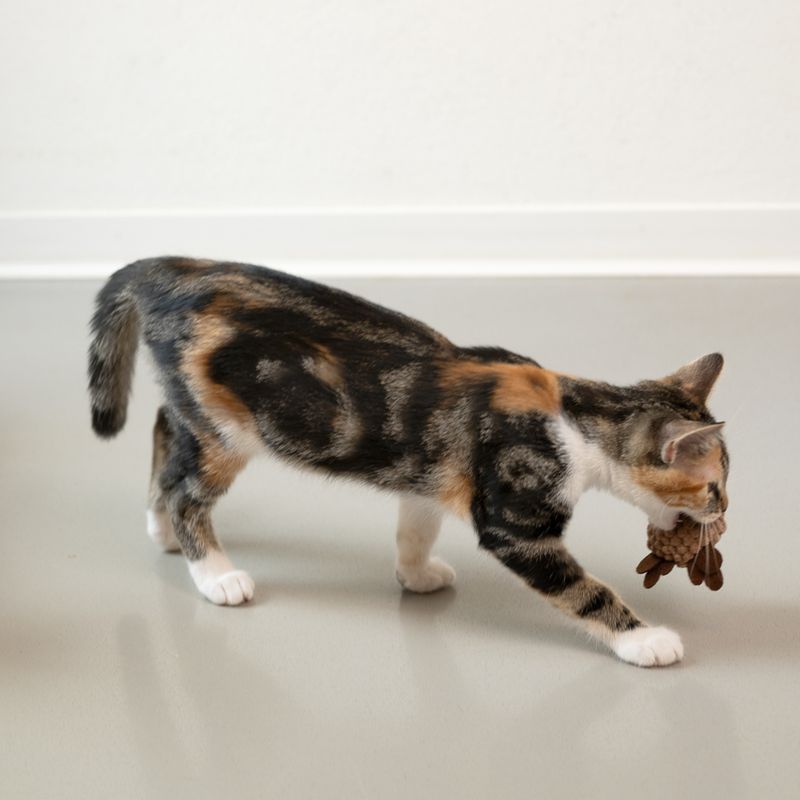 TIAKI Xmas Cat Toy Set Set of 4 Toys