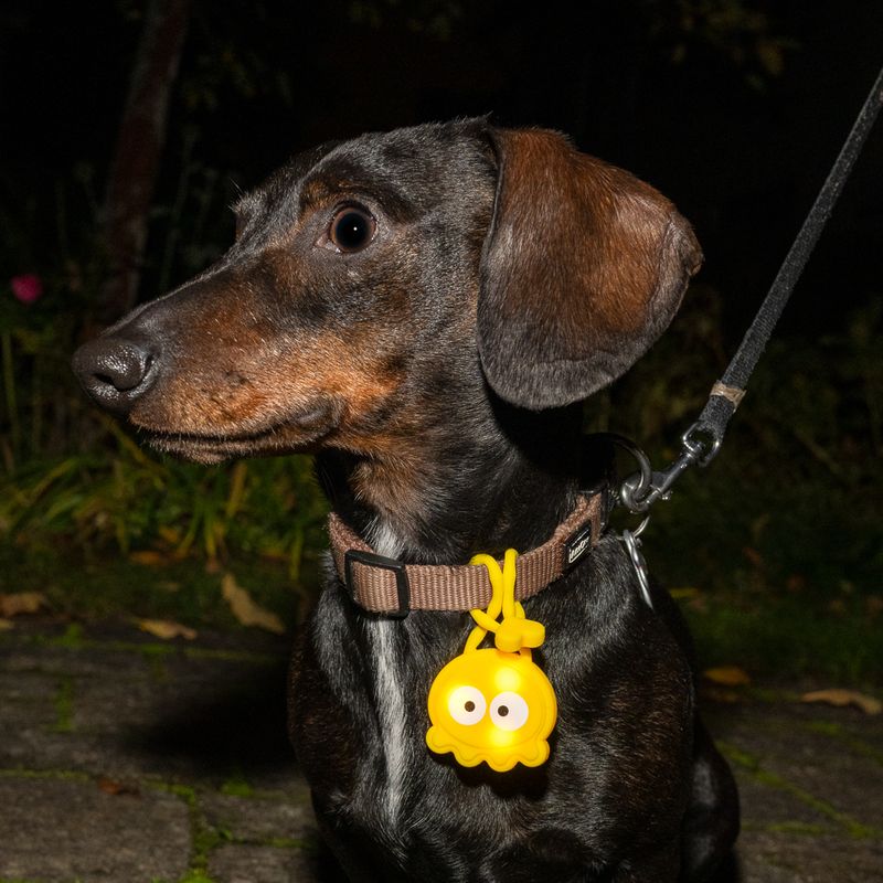 TIAKI Octopus Light Pendant 1 Pendant