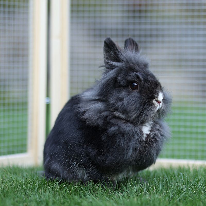 Kerbl Pet VARIO Outdoor Enclosure with Mesh 120 x 120 x 59cm (L x W x H), 6 elements