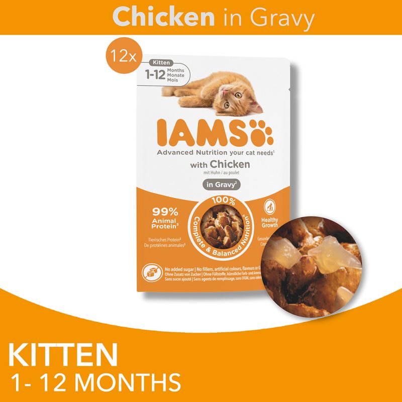 IAMS Advanced Nutrition Kitten Chicken in Sauce Chicken in Gravy (12 x 85g)