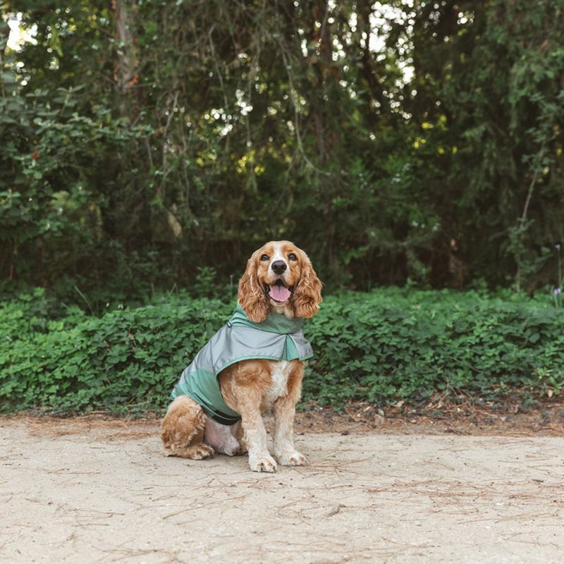 Nomad Tales Spirit Reflective Dog Raincoat - Mint approx. 35cm (Back Length)