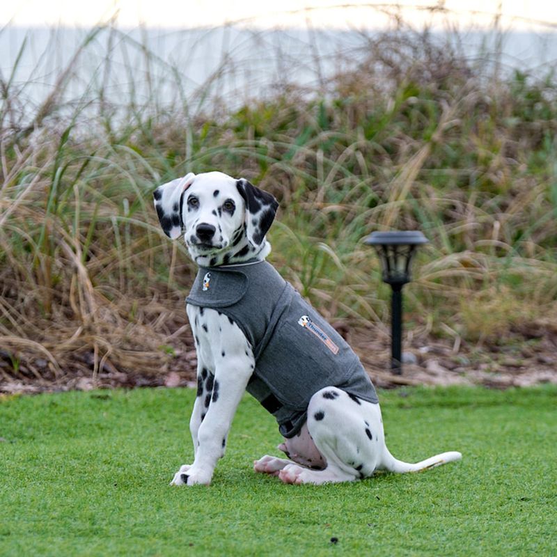 ThunderShirt® Calming Vest, grey approx. 30-41 cm back length (size XS)