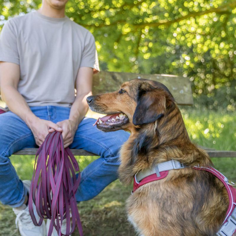 Trixie Rubber Drag Lead - Sangria Size: S-M: 5m long/15mm wide