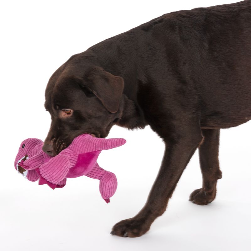 TIAKI Dog Toy D-Rex approx. L 37 x W 16 x H 16 cm