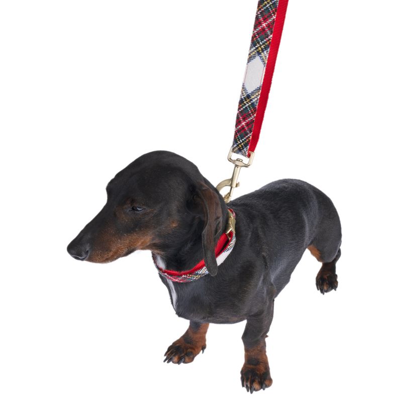 Nomad Tales Tartan Collar, Lead, Poop Bag Dispenser & Scrunchie Set Collar Size L: 42 - 66 cm Neck Circumference