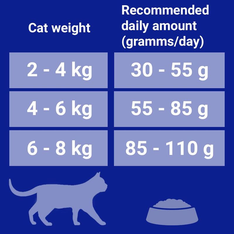 PURINA ONE Indoor Formula Turkey & Whole Grains Dry Cat Food 9.75kg