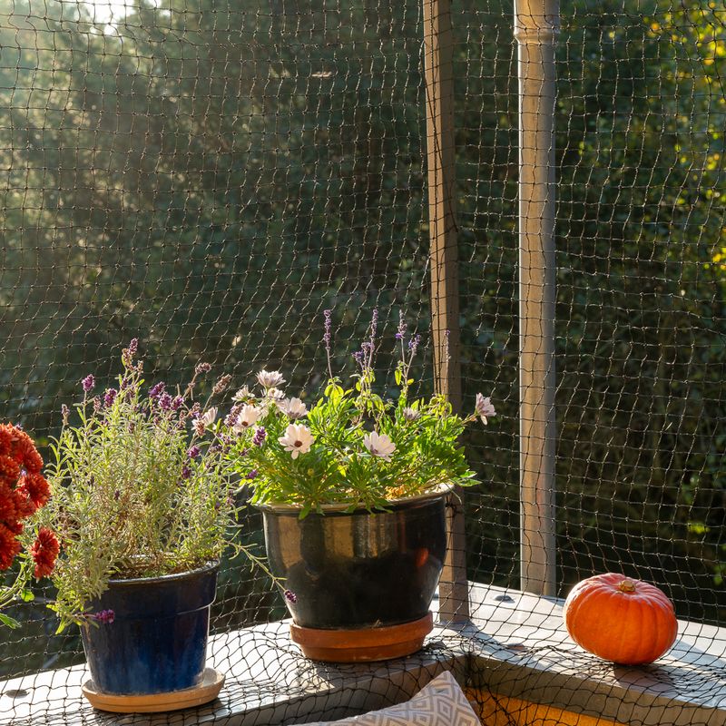 TIAKI Cat Safety Net with Wire Reinforcement - Black 2 x 1.5 m