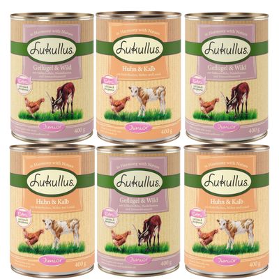 Lukullus Junior Mixed Trial Pack 6 x 400g Mix 1: 6 x 400g