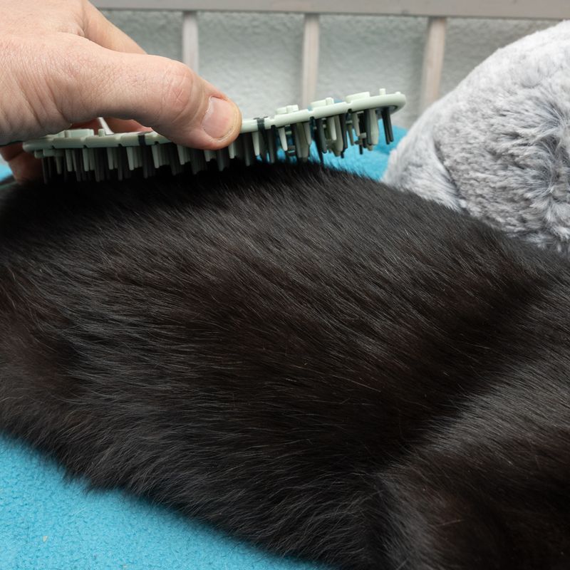 kooa 2-in-1 Corner Cat Brush 1 Brush