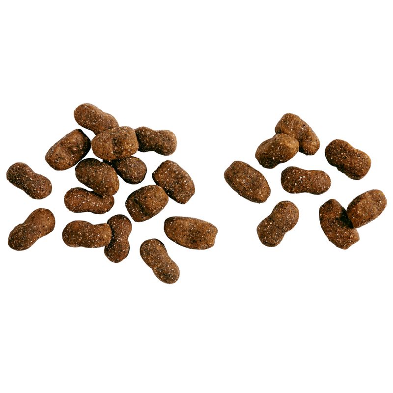 Belcando Baseline Young 12.5kg