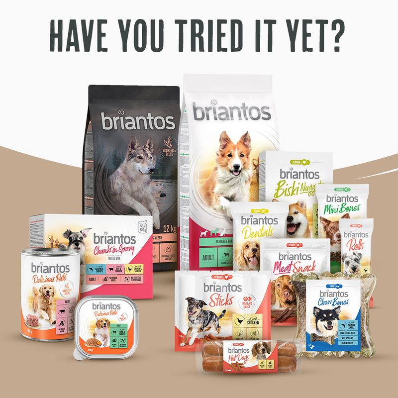 Briantos Maxi Adult 14kg