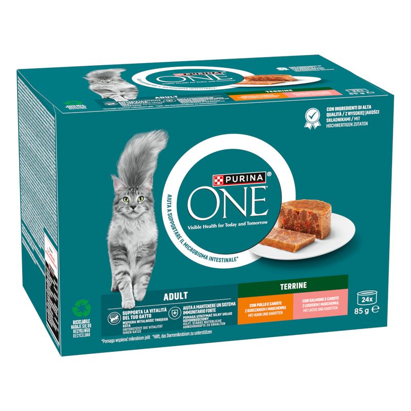 PURINA ONE Adult with Chicken & Green Beans (13 x 85g)