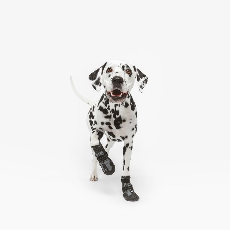 Nomad Tales Spirit Dog Shoes Size S