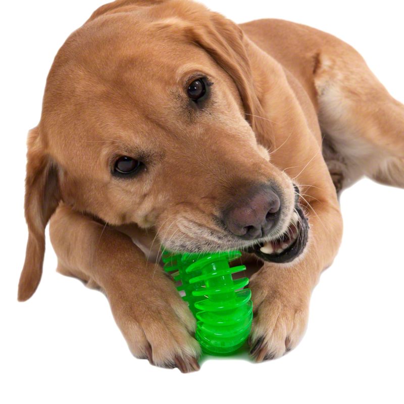 Thermoplastic Rubber Ring Dog Toy approx. Diameter 11.5cm