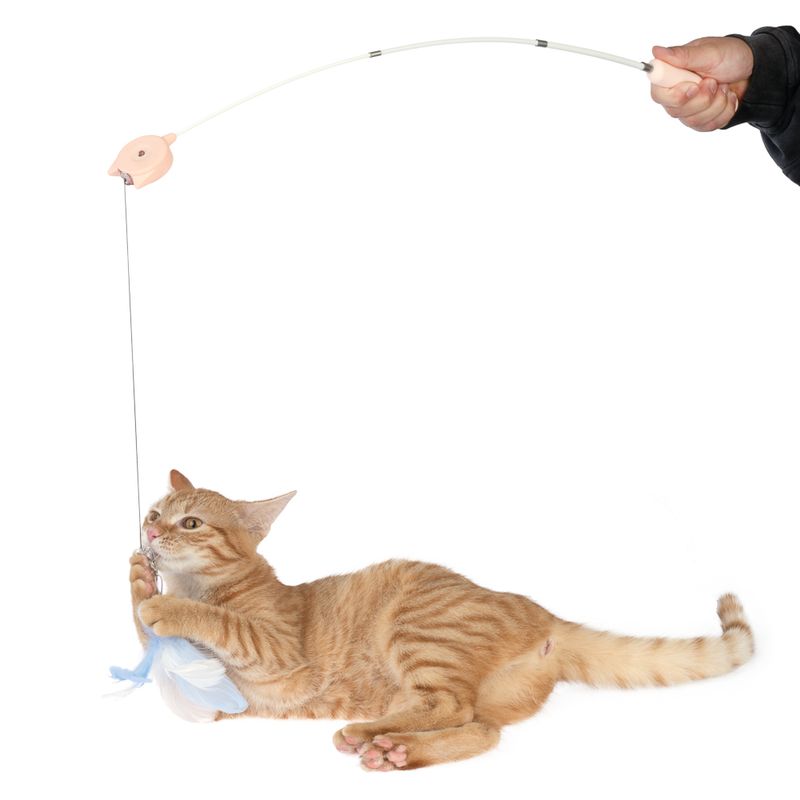 TIAKI Extendable Dangler Toy 1 Dangler Toy