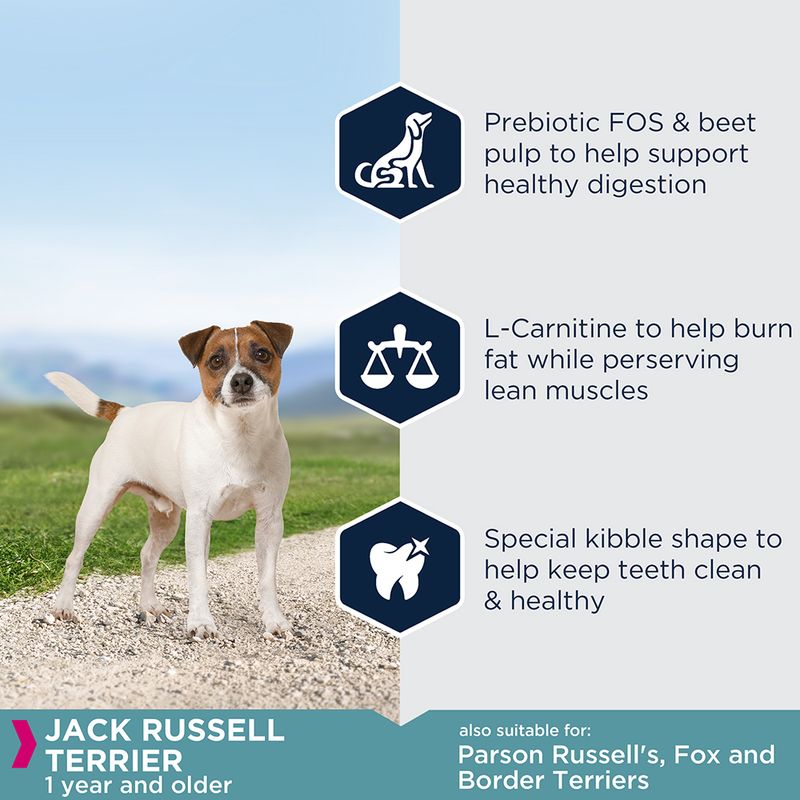 Eukanuba Jack Russell Terrier Adult 2kg