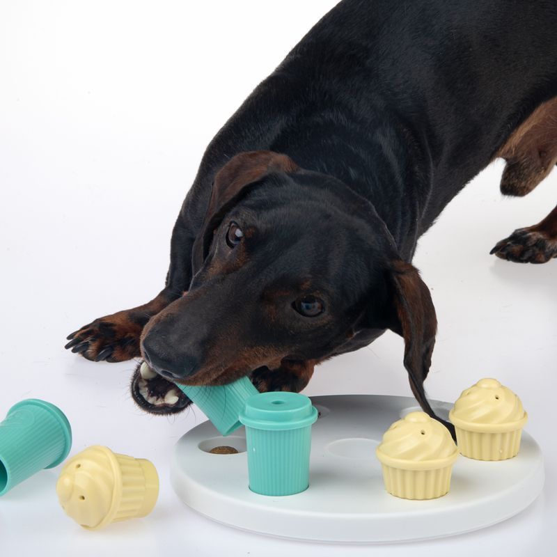 TIAKI Intelligence Toy Breakfast L 19.5 x W 19.5 x H 6 cm