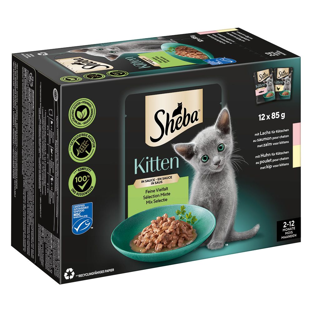 Sheba Kitten Pouches Varieties 12 x 85g Mixed Selection in Gravy (Salmon, Chicken)