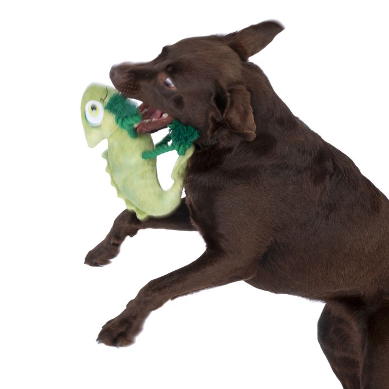TIAKI Pedro the Chameleon Dog Toy approx. 28 x 15 x 6cm (L x W x H)