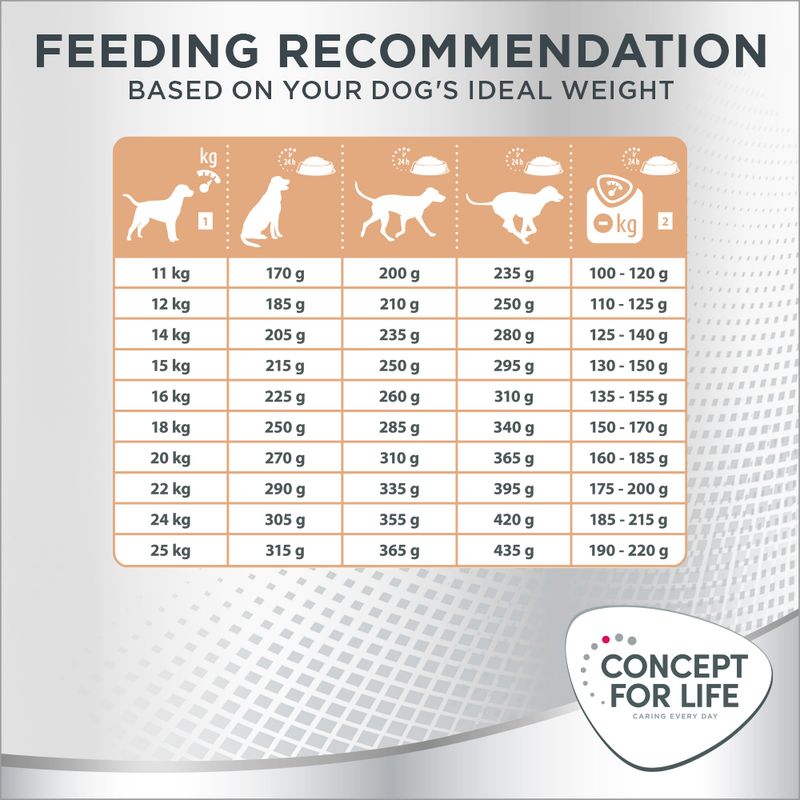 Concept for Life Medium Light 12kg