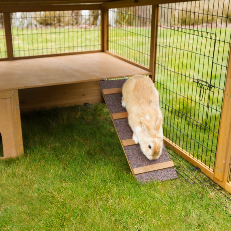 Kerbl Pet Free-Range Enclosure with Plastic Roof & Escape Barrier 220 x 115 x 75cm (L x W x H)